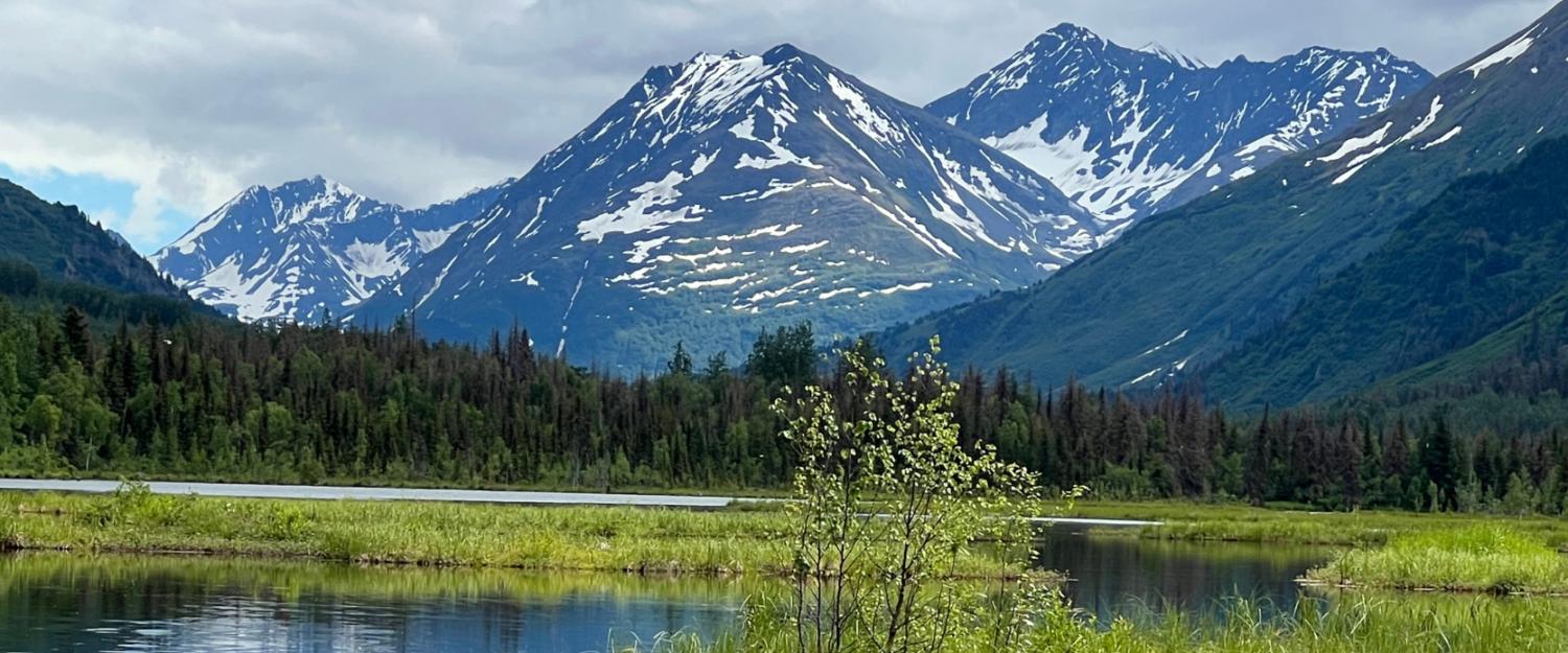 Law Offices of Jimmy E. White, LLC